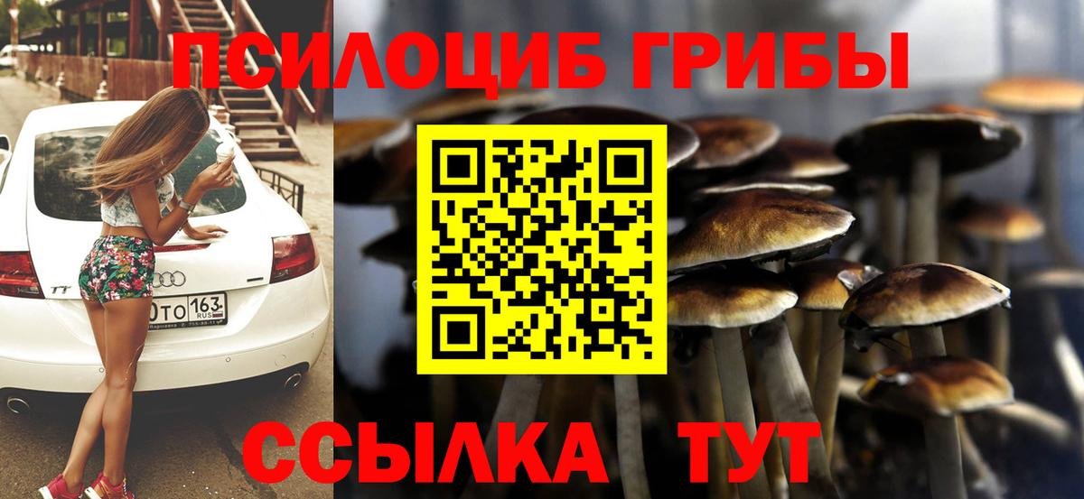 где можно купить наркотик  Галлюциногенные грибы Magic Shrooms  Вход с VPN  Дербент 
